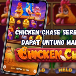 Chicken Chase Serbu Ayam Dapat Untung Maksimal